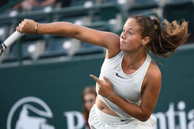 其商业价值 其商业价值