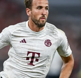 因房区多 因房区多